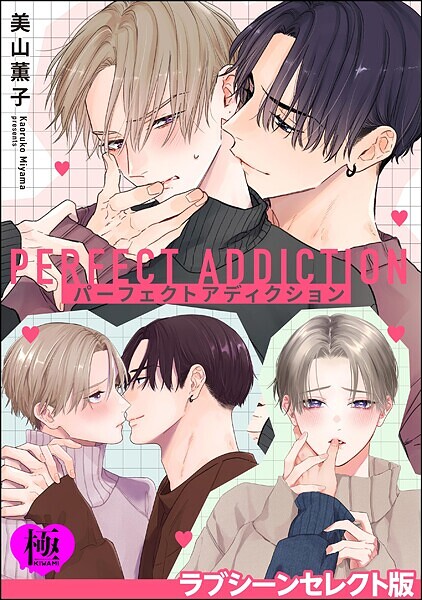 パーフェクトアディクション ラブシーンセレクト版【極】❤美山薫子｜【単行本】
