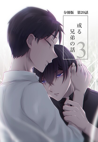 【分冊版】或る兄弟の話 20話❤あおい｜【単話】