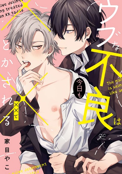 ウブな不良は今日も××でとかされる❤家目やこ｜【単行本】