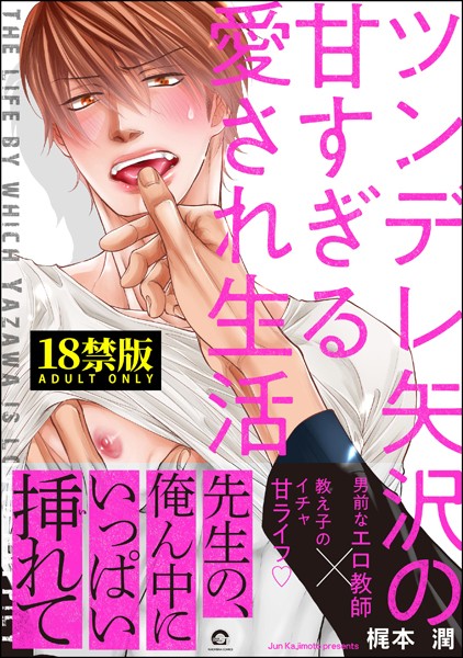 ツンデレ矢沢の甘すぎる愛され生活【極】 【電子限定かきおろし漫画付】❤梶本潤｜【単行本】