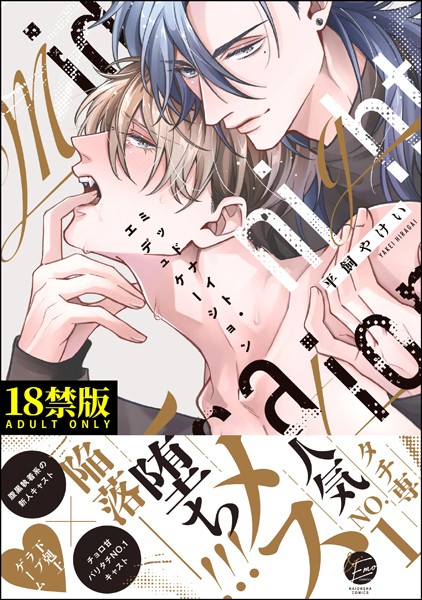 ミッドナイト・エデュケーション【極】 【電子限定かきおろし漫画3P付】❤平飼やけい｜【単行本】