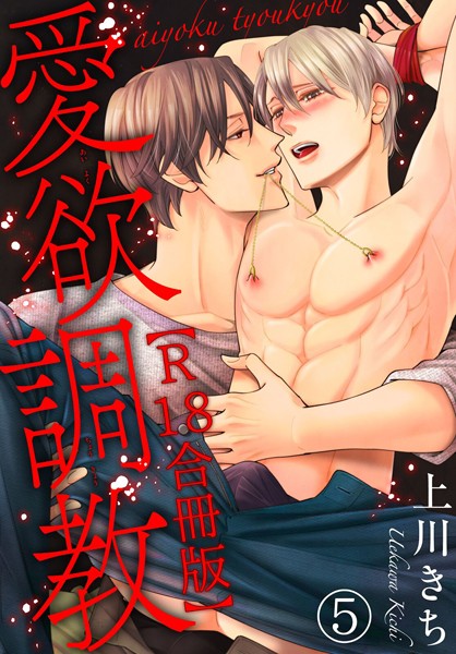 愛欲調教R18合冊版5❤上川きち｜【単行本】