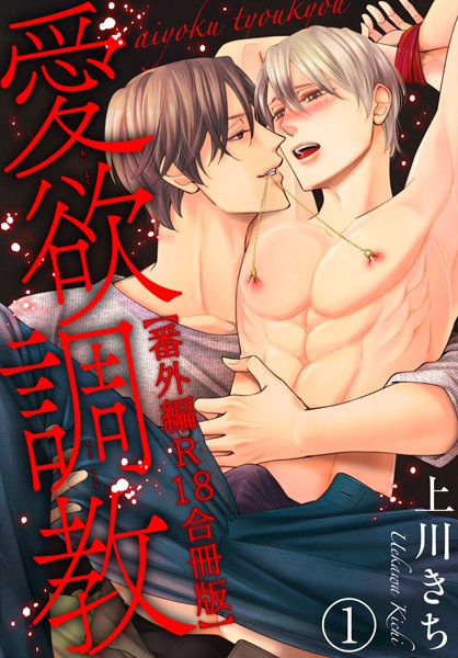愛欲調教R18合冊版10❤上川きち｜【単行本】