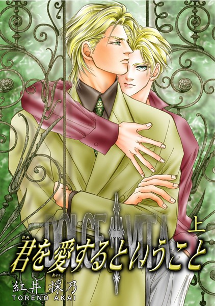 君を愛するということ 上❤紅井採乃｜【単行本】