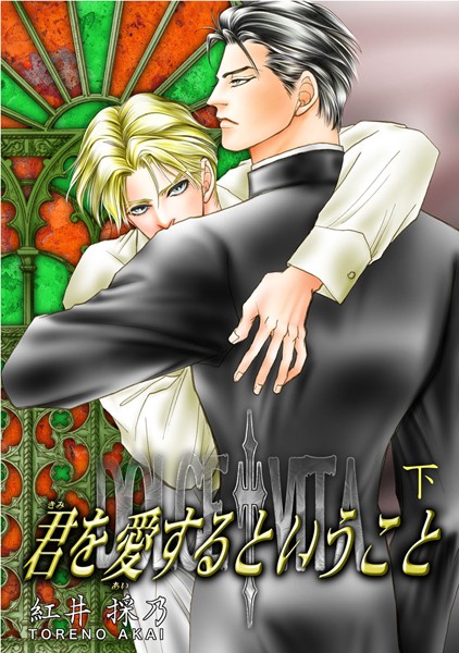 君を愛するということ 下❤紅井採乃｜【単行本】