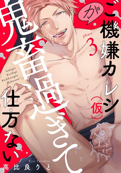 ご機嫌カレシ（仮）が鬼畜過ぎて仕方ない （3）❤高比良りと｜【単話】